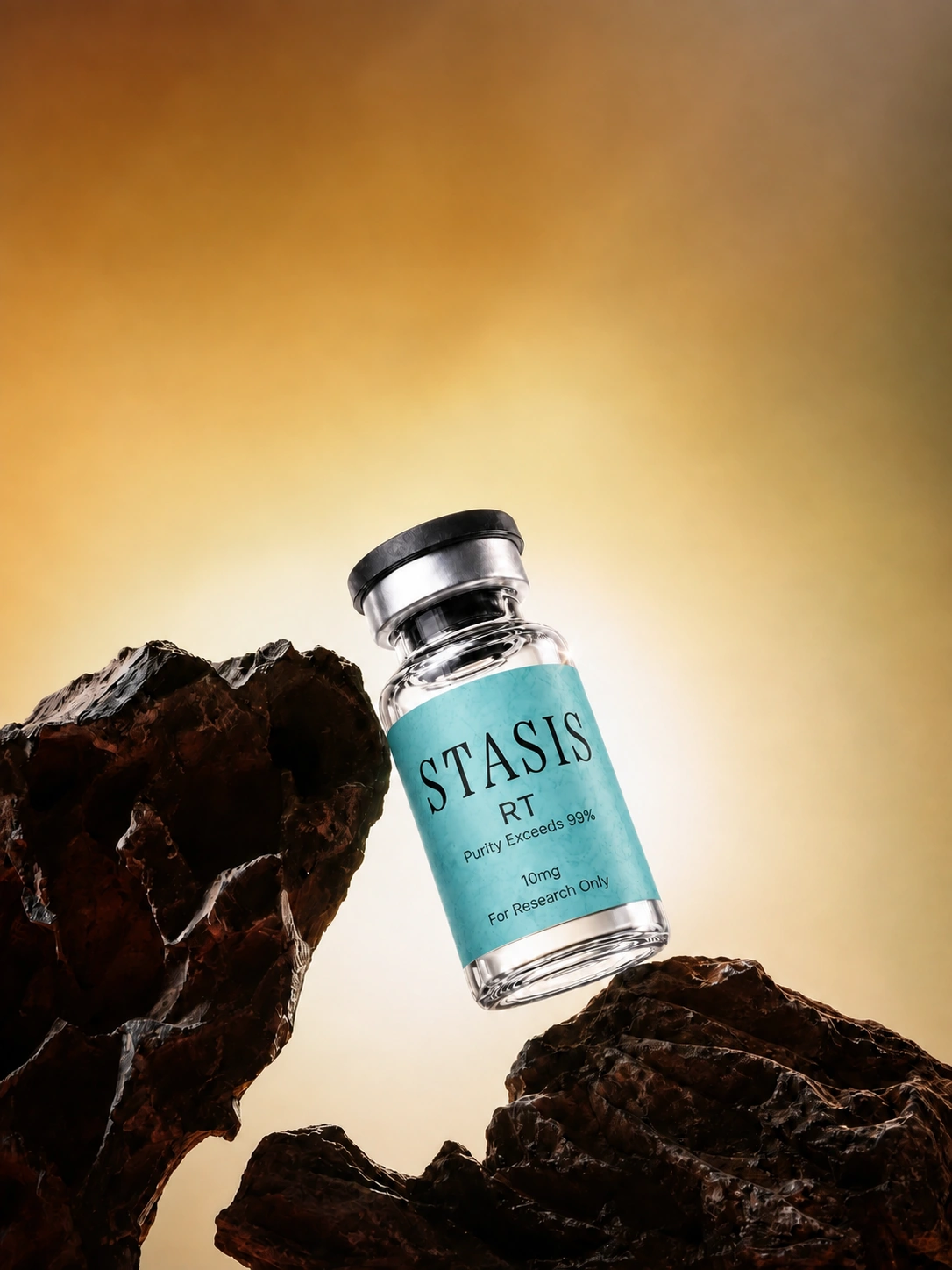 Presentación de productos de investigación Stasis